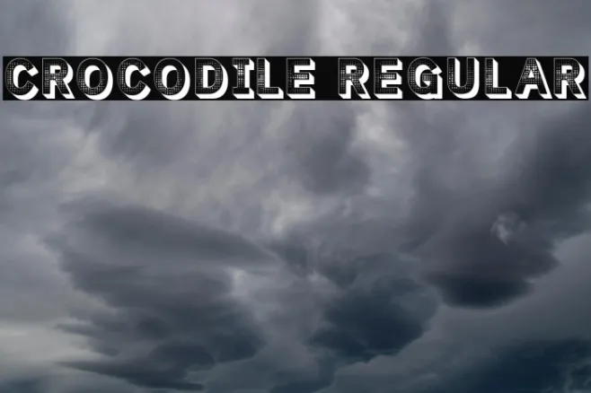 Crocodile Regular Example 2