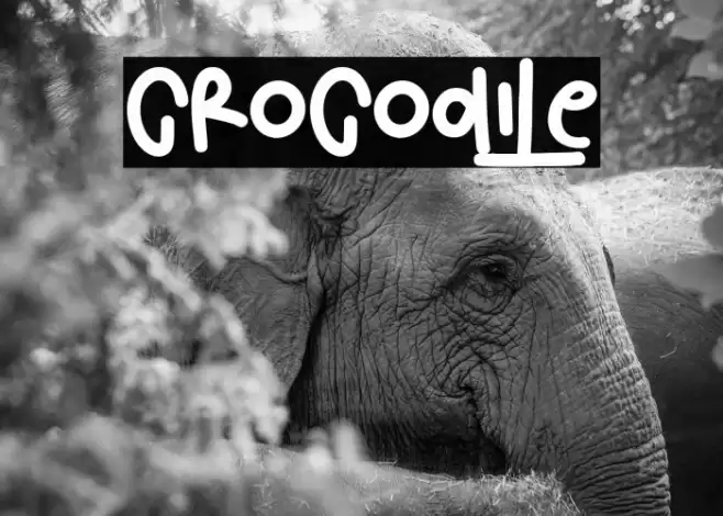 Crocodile Font examples