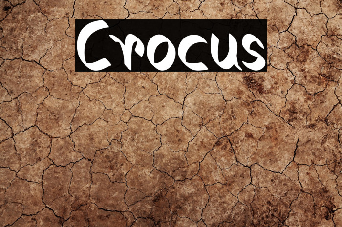 Crocus Example 1