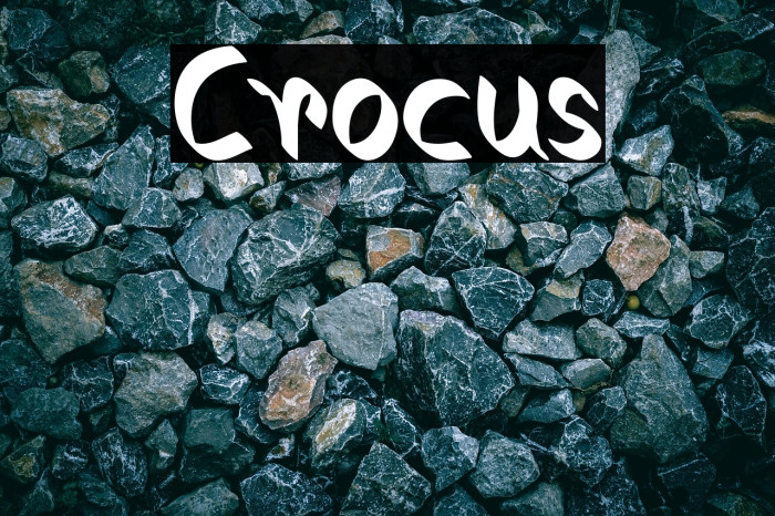 Crocus Example 3