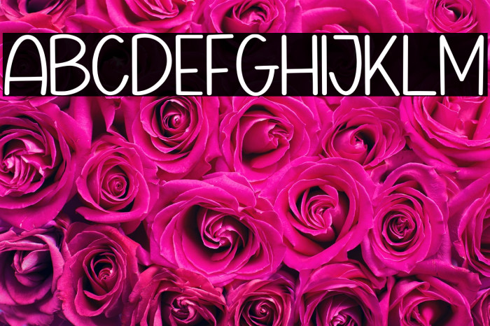 Crofelo Delight Personal Use Example 1