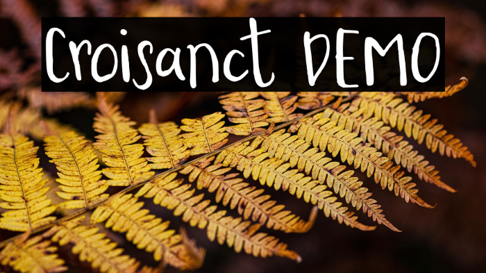 Croisanct DEMO Example 1