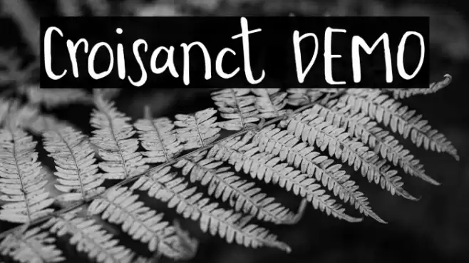 Croisanct DEMO Font examples