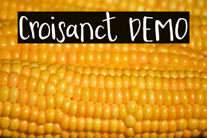 Croisanct DEMO Example 2