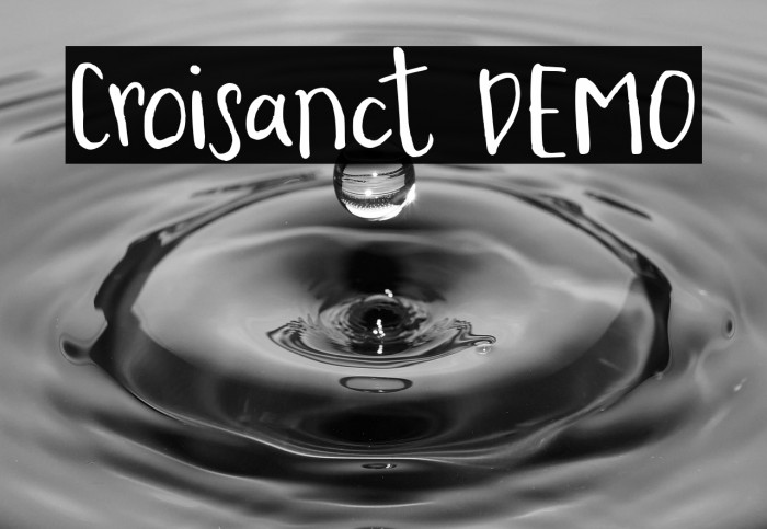 Croisanct DEMO Example 3