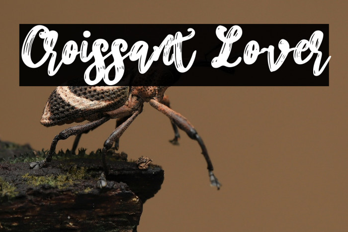 Croissant Lover Example 1