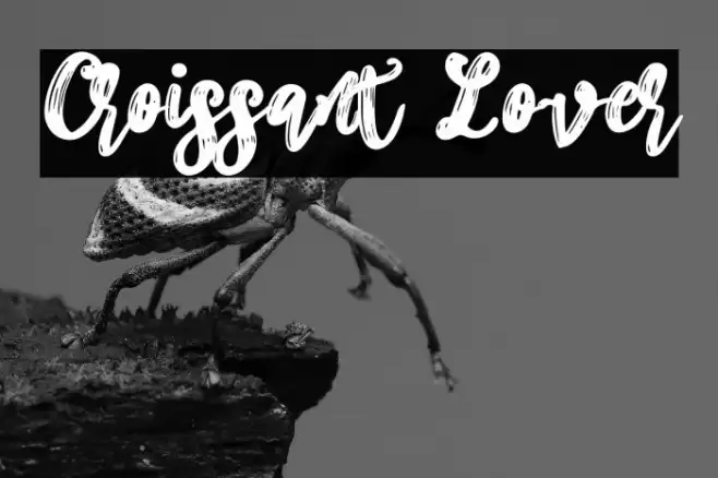 Croissant Lover Font examples