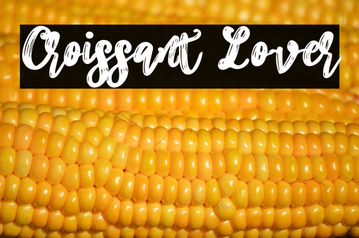 Croissant Lover Example 2