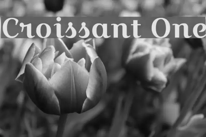 Croissant One Font examples