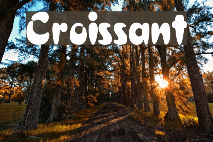 Croissant Font examples