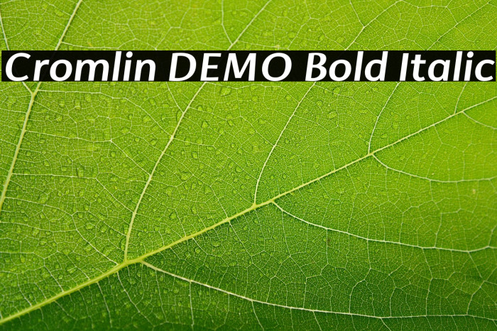 Cromlin DEMO Bold Italic Example 3