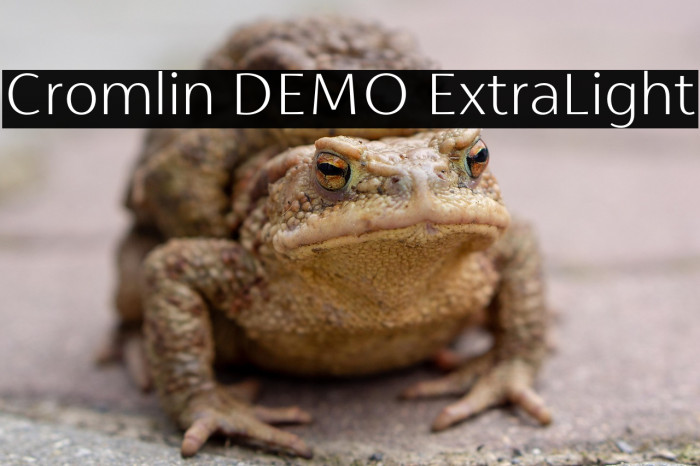 Cromlin DEMO ExtraLight Example 3