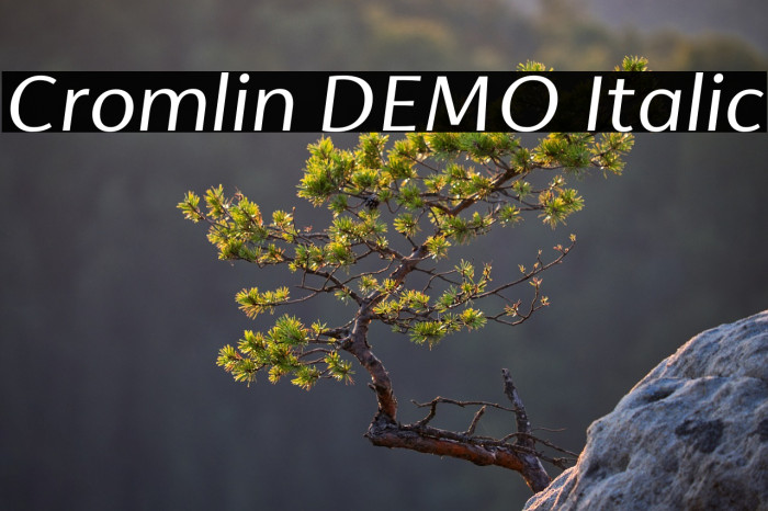 Cromlin DEMO Italic Example 1