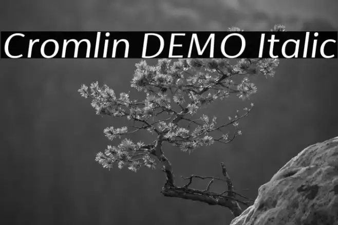 Cromlin DEMO Italic Font examples