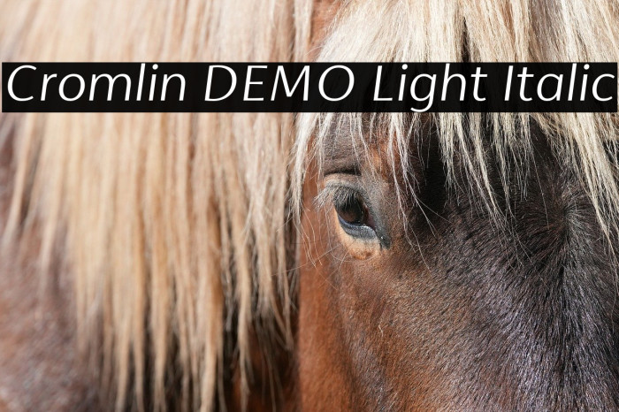 Cromlin DEMO Light Italic Example 2