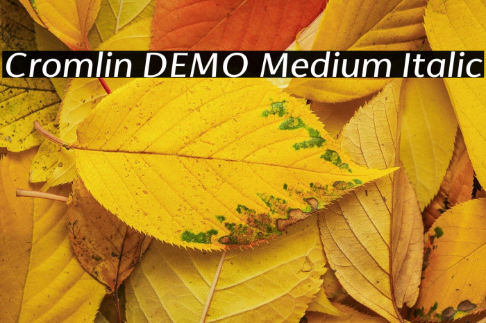 Cromlin DEMO Medium Italic Example 2