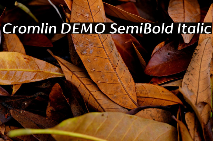 Cromlin DEMO SemiBold Italic Example 2
