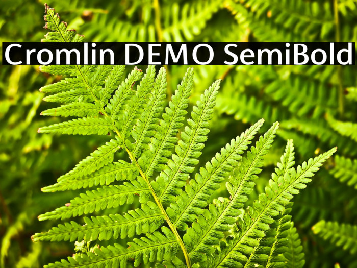 Cromlin DEMO SemiBold Example 3