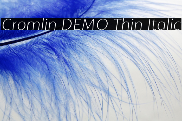 Cromlin DEMO Thin Italic Example 3