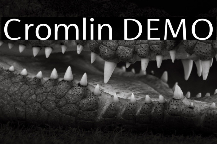 Cromlin DEMO Example 2
