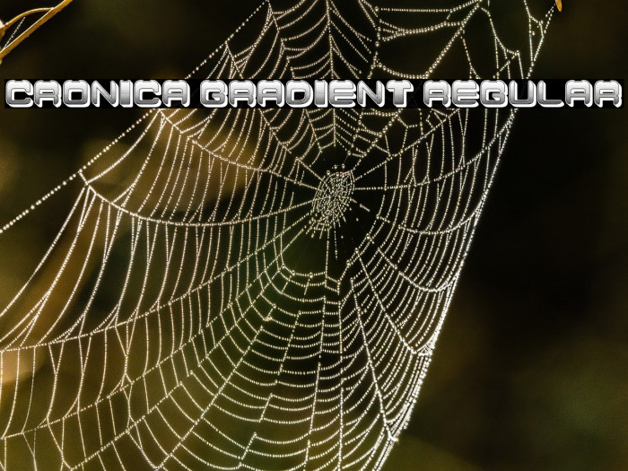 Cronica Gradient Regular Example 1