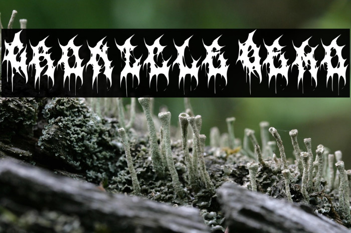 Cronicle Demo Example 3