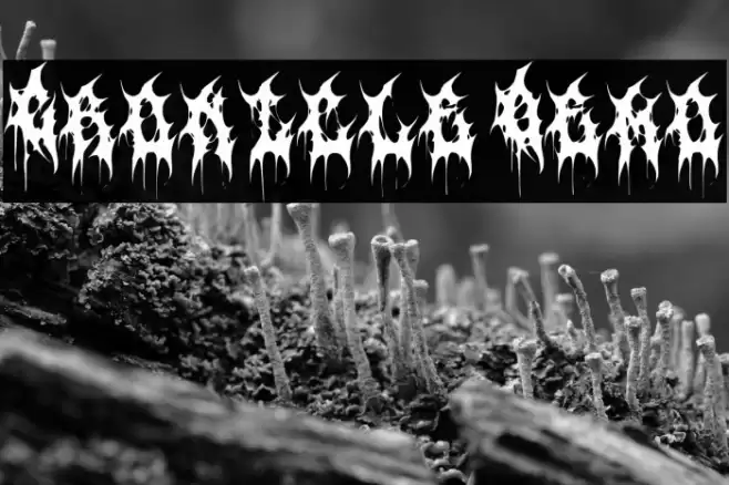 Cronicle Demo Fuentes examples