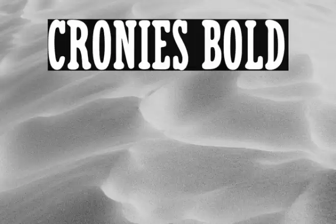 Cronies Bold Font examples