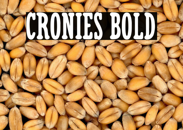 Cronies Bold Example 2