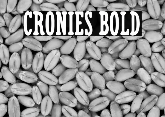 Cronies Bold Font examples