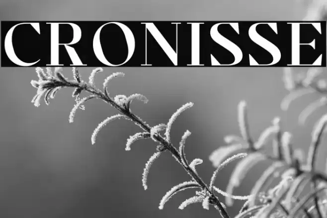 Cronisse Font examples