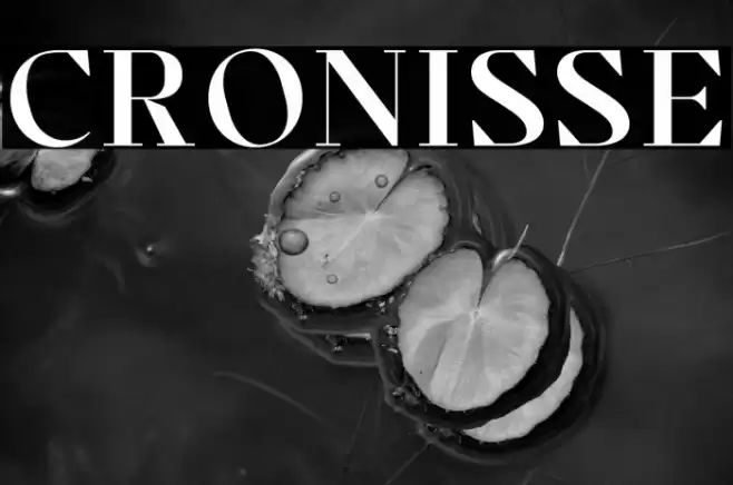 Cronisse Font examples
