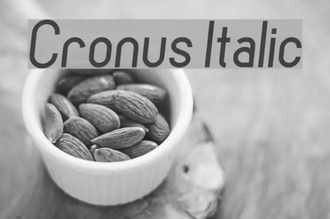 Cronus Italic Fonte examples