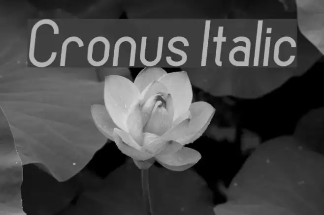 Cronus Italic Fonte examples