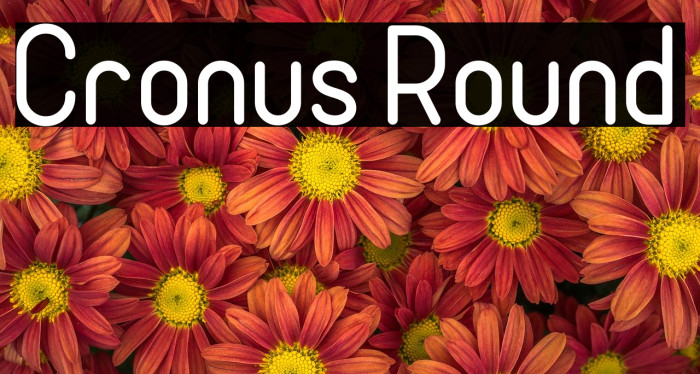 Cronus Round Font examples