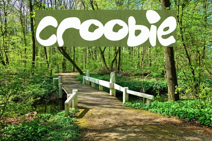 Croobie Font examples