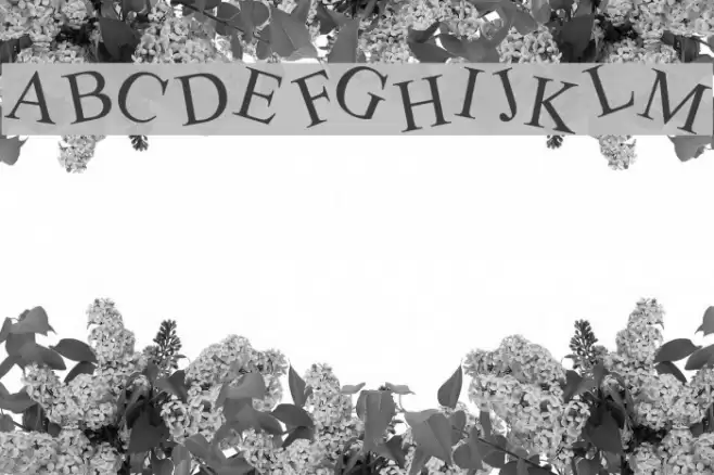 Crooked Font examples
