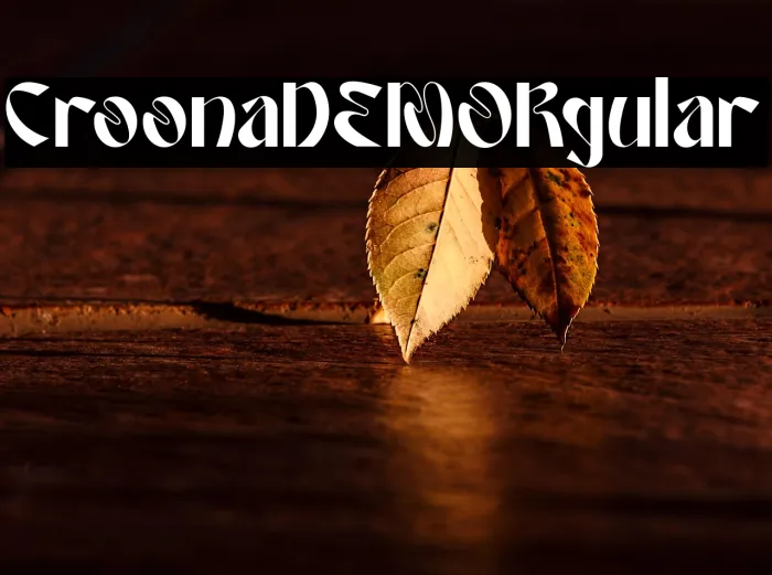 Croona DEMO Regular Example 3
