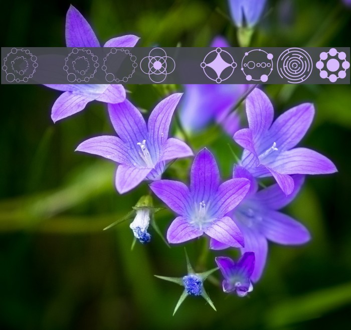 Crop Circle Dingbats Font examples