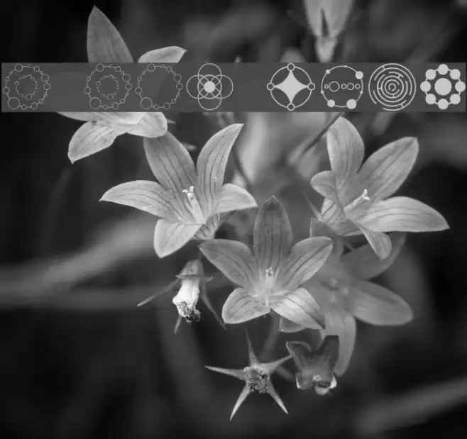 Crop Circle Dingbats Schriftart examples