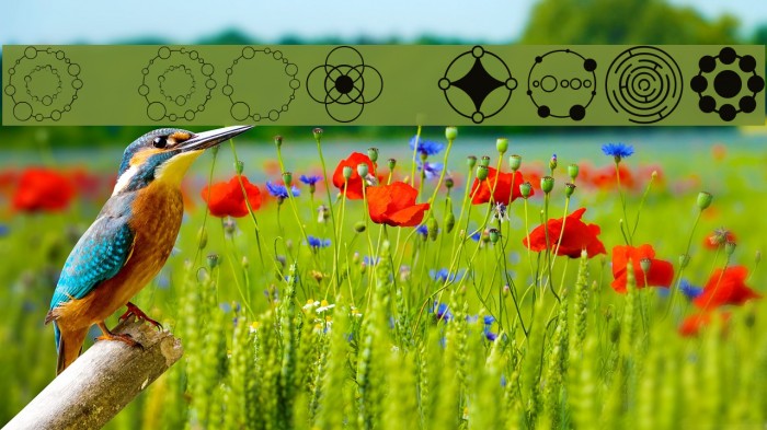 Crop Circle Dingbats Font examples