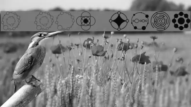 Crop Circle Dingbats Schriftart examples