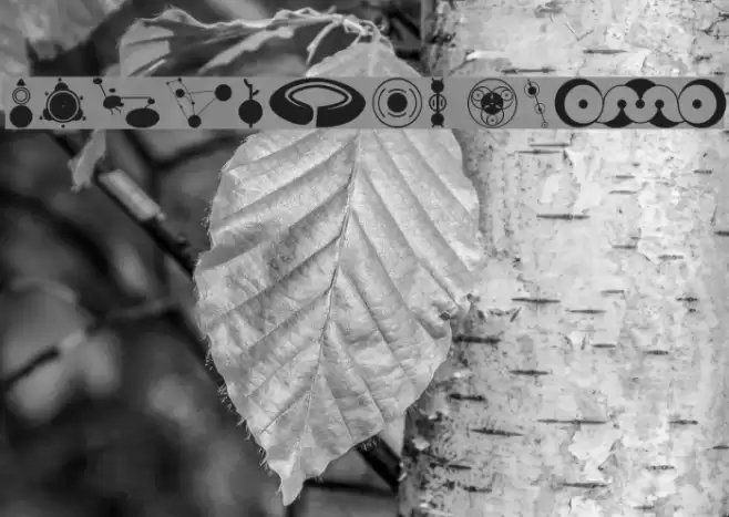 CropBats AOE Schriftart examples