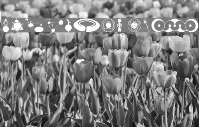 CropBats AOE Schriftart examples