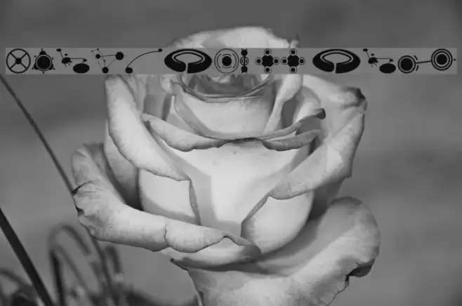 CropBats II AOE Font examples