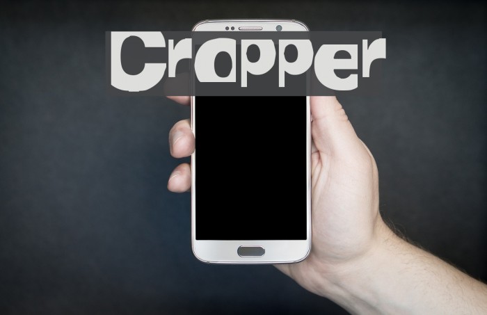 Cropper Example 1