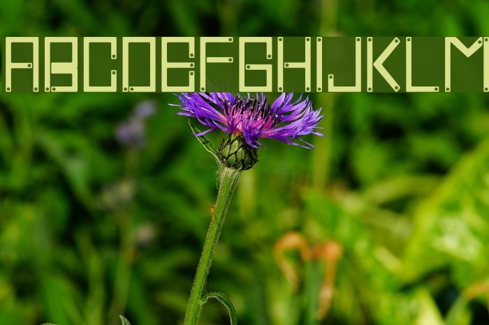 Cross Screw Example 3