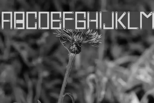 Cross Screw Font examples