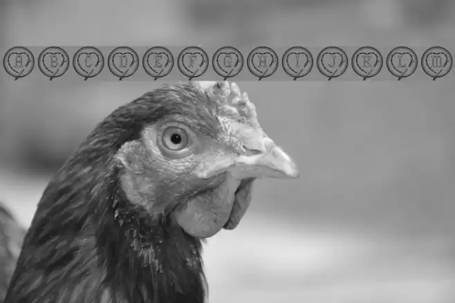 Cross Stitch Hearts Font examples