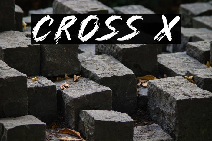 Cross X Example 1